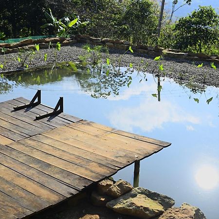 La Pacha Hostel Barichara Dış mekan fotoğraf