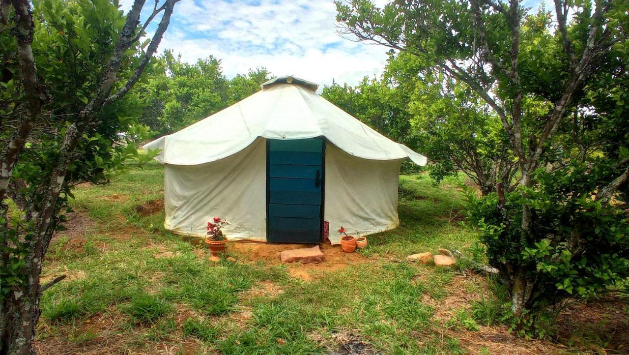 La Pacha Hostel Barichara Dış mekan fotoğraf