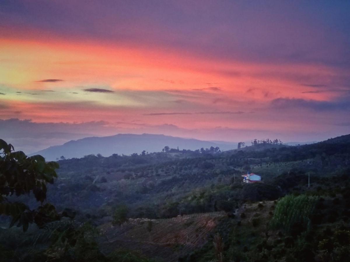 La Pacha Hostel Barichara Dış mekan fotoğraf