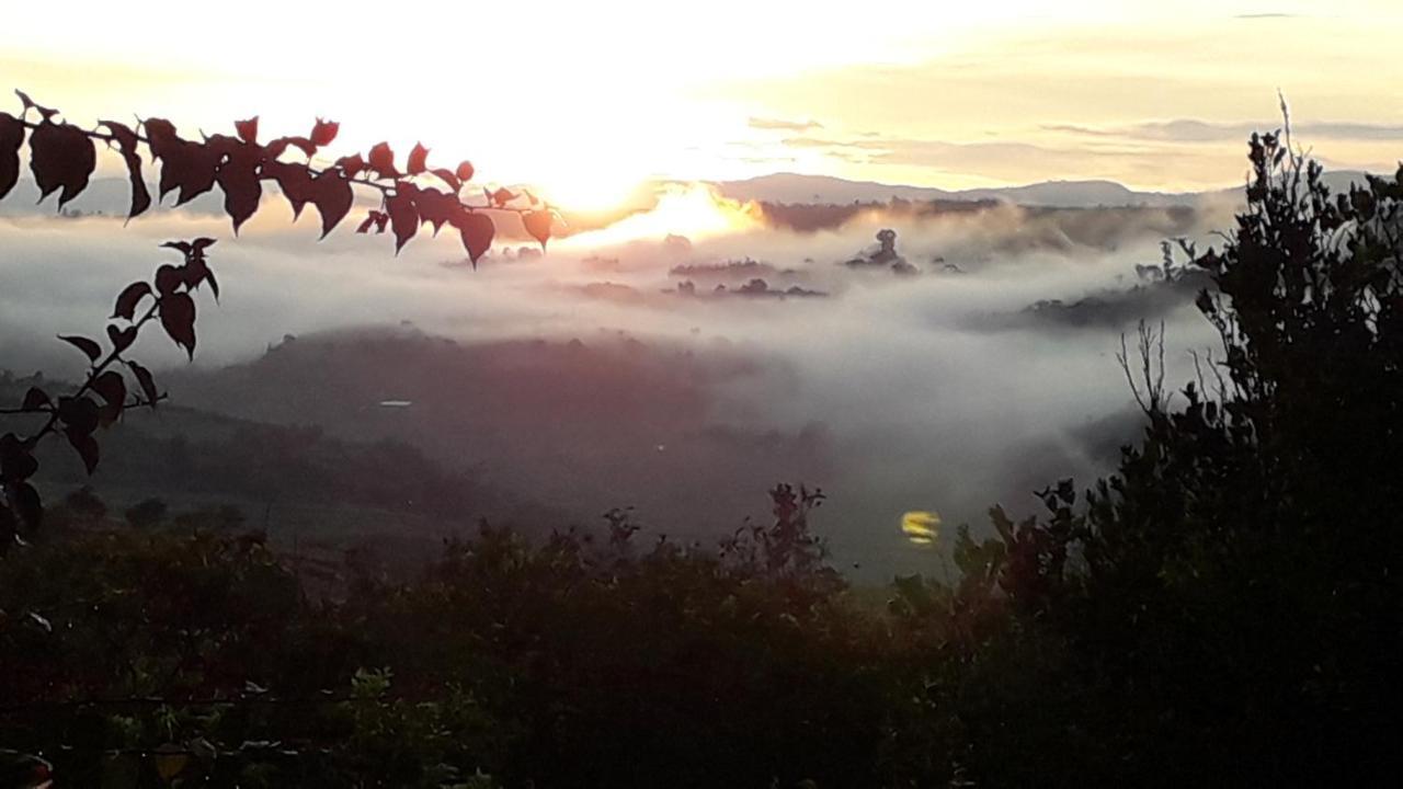 La Pacha Hostel Barichara Dış mekan fotoğraf